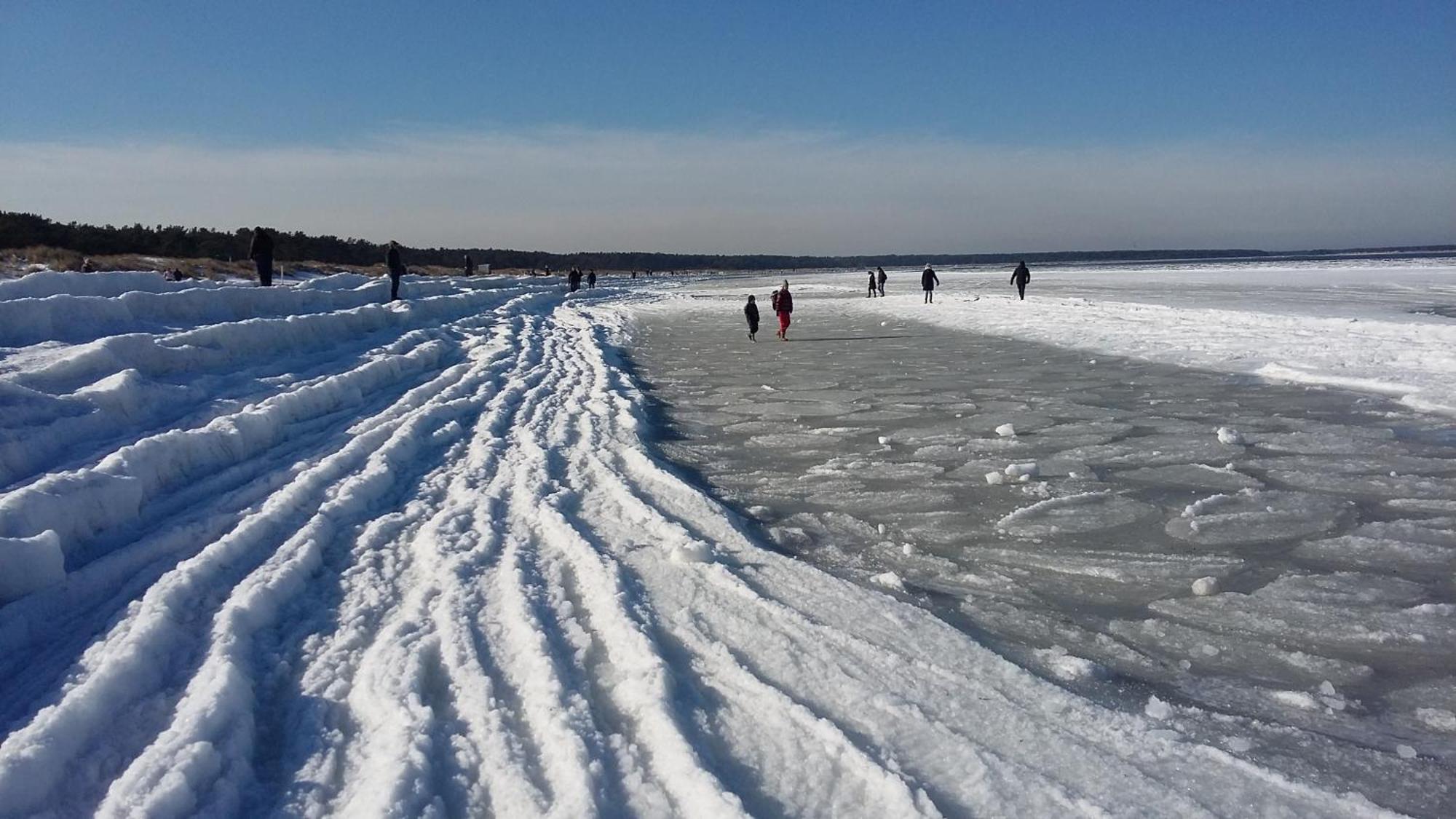 *Strandaster* In Zingst - 100 M Bis Strand, Ruhig, Zentral. Dış mekan fotoğraf